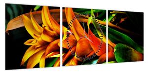 Obraz pomarańczowego kwiatu (z zegarem) (90x30 cm)