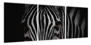 Obraz zebry (z zegarem) (90x30 cm)