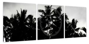 Obraz czarno - biały - palmy (z zegarem) (90x30 cm)