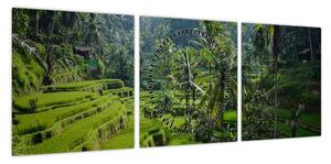 Obraz tarasów ryżowych Tegalalang, Bali (z zegarem) (90x30 cm)