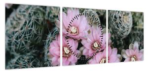 Obraz kwiatu kaktusa (z zegarem) (90x30 cm)