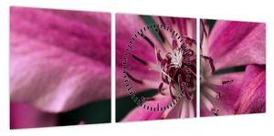 Obraz różowego kwiatu powojnika (z zegarem) (90x30 cm)