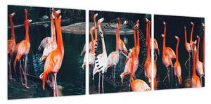 Obraz stada flamingów (z zegarem) (90x30 cm)