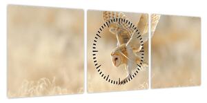 Obraz - Sowa Płomykówka (z zegarem) (90x30 cm)