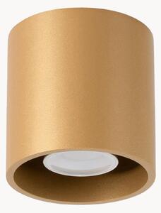 Lampa sufitowa Roda 1
