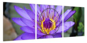 Obraz - Fioletowy kwiat (z zegarem) (90x30 cm)
