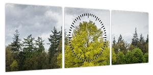 Obraz zielonego drzewa na środku pola (z zegarem) (90x30 cm)
