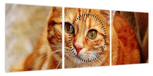 Obraz leżącego kota (z zegarem) (90x30 cm)