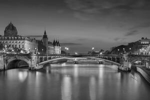 Fototapeta olśniewająca czarnobiała panorama Paryża