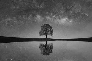Fototapeta czarno-białe gwiaździste niebo nad samotnym drzewem