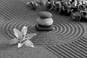 Fototapeta czarno-biały ogród Zen