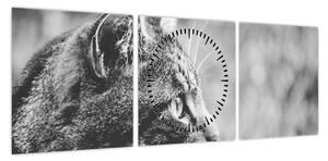 Obraz - Kot (z zegarem) (90x30 cm)