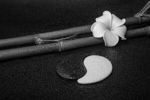 Samoprzylepna fototapeta czarno-biała martwa natura z Yin i Yang