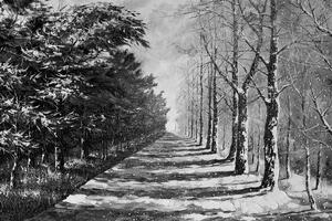 Samoprzylepna tapeta jesienna czarno-biała aleja drzew