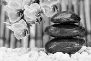 Fototapeta japoński czarno-biały ogród Zen