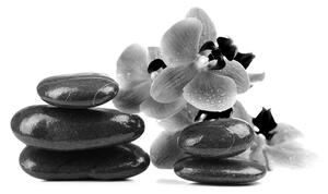 Fototapeta czarno-białe kamienie i orchidea