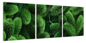 Obraz - Gałązki drzew iglastych (z zegarem) (90x30 cm)