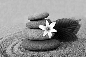 Fototapeta czarno-białe kamienie na piasku