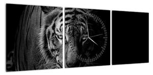 Obraz dzikiego tygrysa (z zegarem) (90x30 cm)