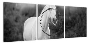 Obraz białego konia na łące, czarno - biały (z zegarem) (90x30 cm)