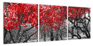 Obraz - Czerwone drzewa, Central Park, New York (z zegarem) (90x30 cm)
