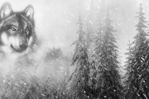 Samoprzylepna tapeta czarno-biały wilk w śnieżnym krajobrazie