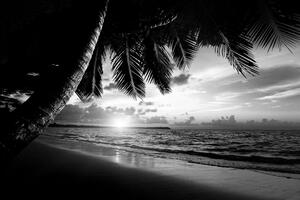Fototapeta czarno-biała karaibska plaża