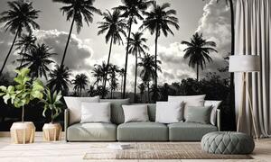 Tapeta palmy kokosowe na plaży w czerni i bieli