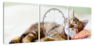 Obraz - Śpiący kotek (z zegarem) (90x30 cm)