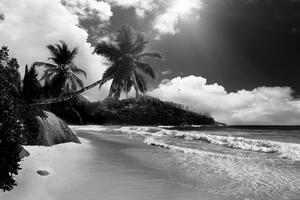 Fototapeta plaża na wyspie Seszele w czerni i bieli