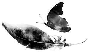 Tapeta piórko z motylem w czerni i bieli