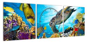 Obraz rafy koralowej (z zegarem) (90x30 cm)
