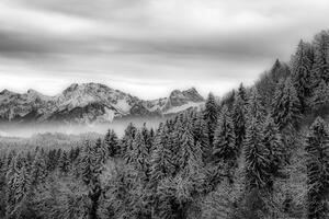 Fototapeta czarno-białe zamarznięte góry