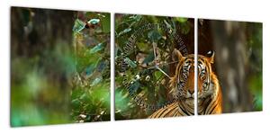 Obraz odpoczywającego tygrysa (z zegarem) (90x30 cm)