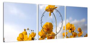 Obraz pola z jasnożółtymi kwiatami (z zegarem) (90x30 cm)