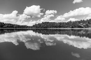 Fototapeta czarno-białe jezioro latem
