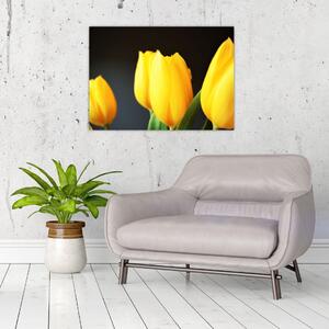 Obraz na szkle - tulipany (70x50 cm)