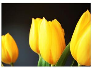 Obraz na szkle - tulipany (70x50 cm)