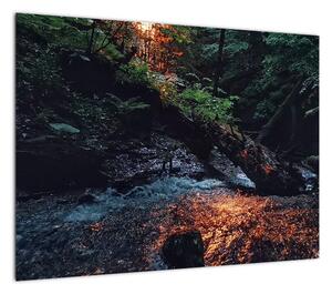 Obraz na szkle - górska rzeka (70x50 cm)
