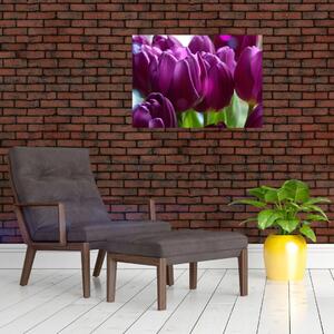 Obraz na szkle - tulipanów (70x50 cm)