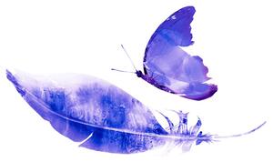 Tapeta piórko z motylem w fioletowym kolorze