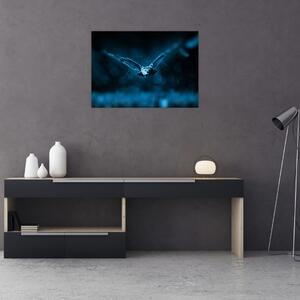 Obraz na szkle - lecąca sowa (70x50 cm)