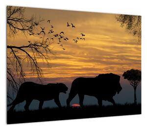 Obraz na szkle - Safari (70x50 cm)