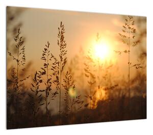 Obraz na szkle - wschód słońca (70x50 cm)