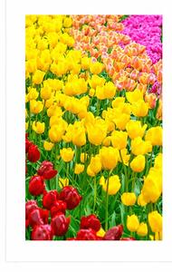Plakat z passe-partout ogród pełen tulipanów