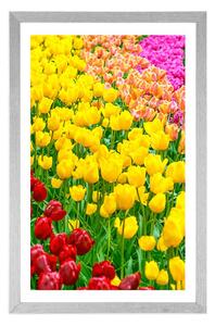 Plakat z passe-partout ogród pełen tulipanów