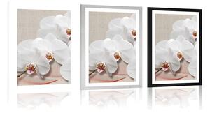 Plakat z passe-partout biała orchidea na płótnie