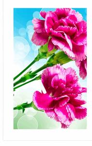 Plakat z passe-partout kwiat goździka