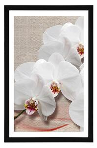 Plakat z passe-partout biała orchidea na płótnie