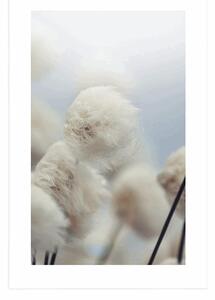 Plakat z passe-partout arktyczne kwiaty bawełny